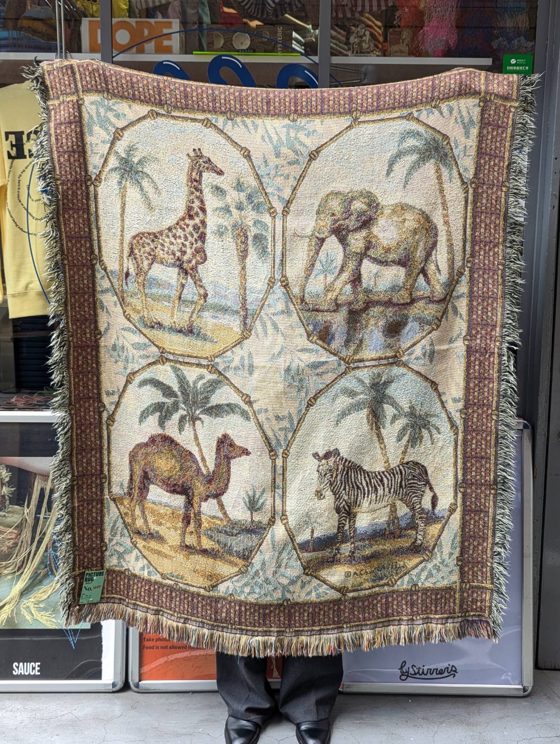 PICTURE RUG No.1047