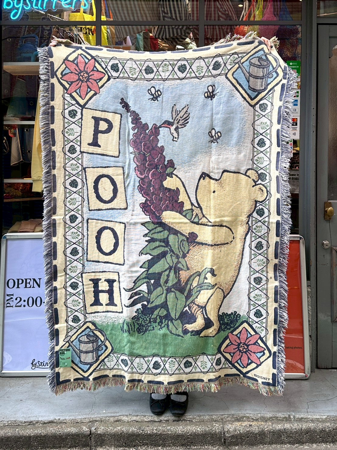 PICTURE RUG No.1064