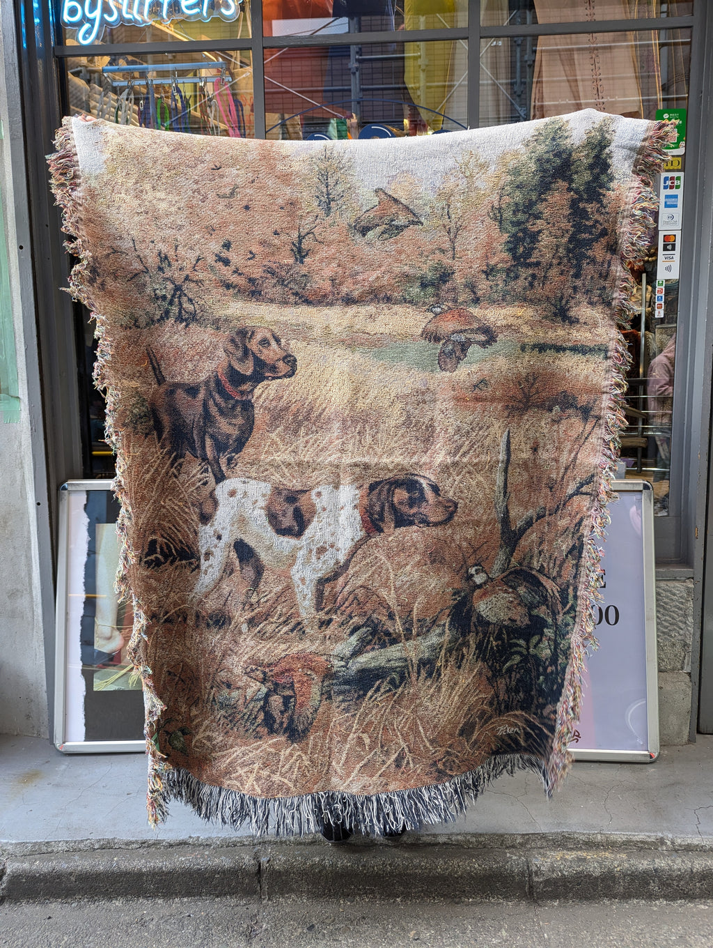 PICTURE RUG No.596
