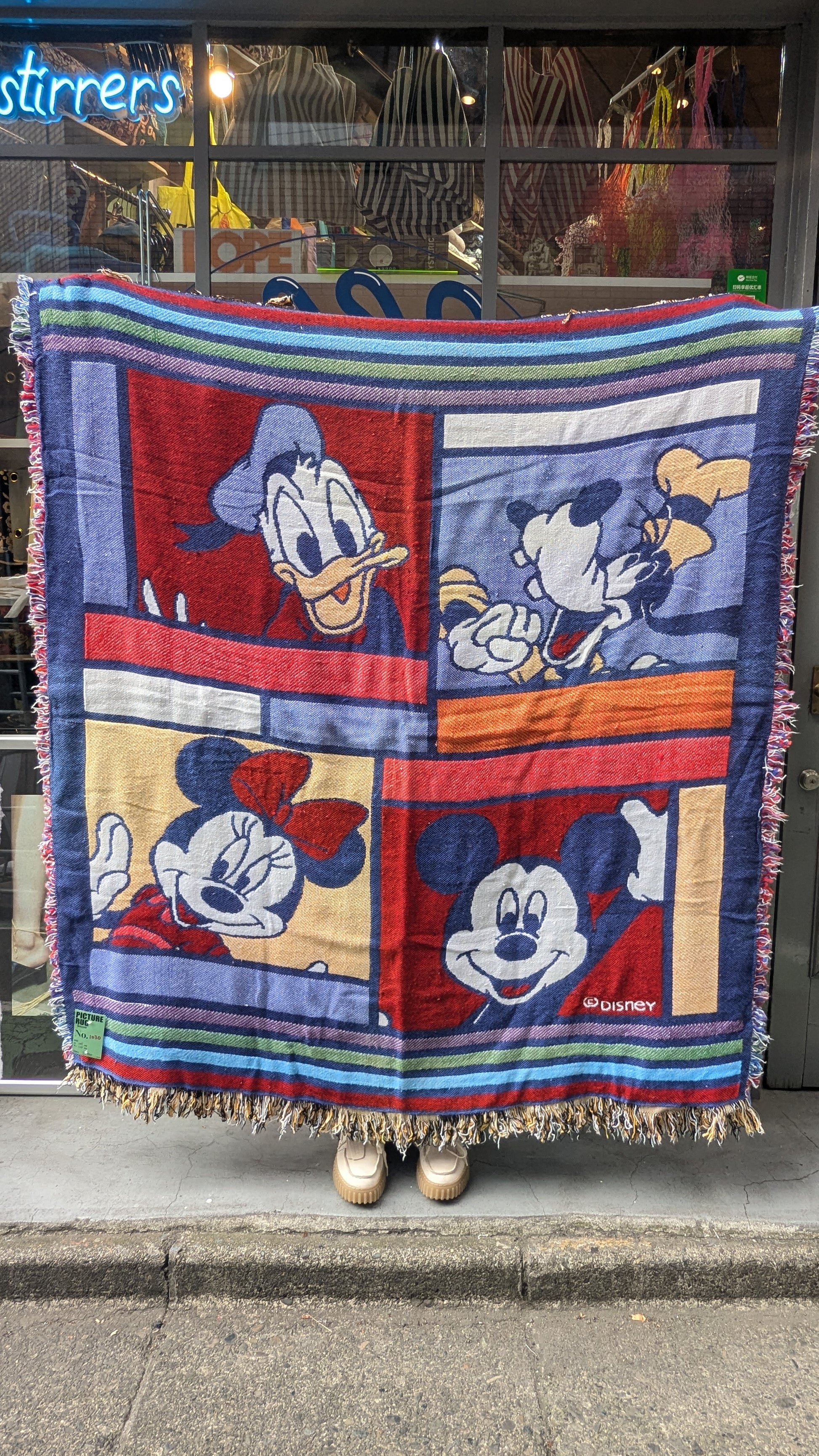 PICTURE RUG No.1030