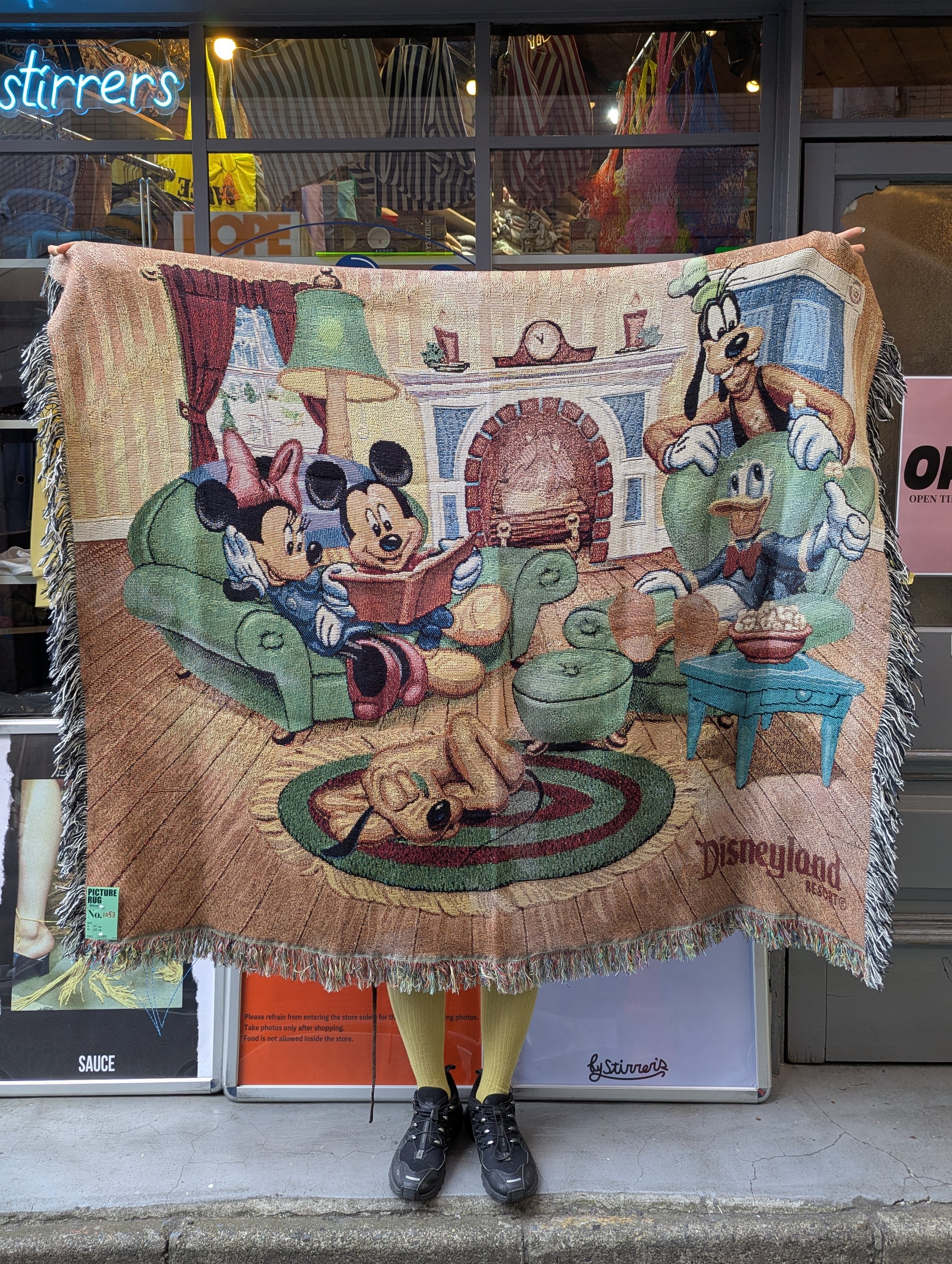 PICTURE RUG No.1053
