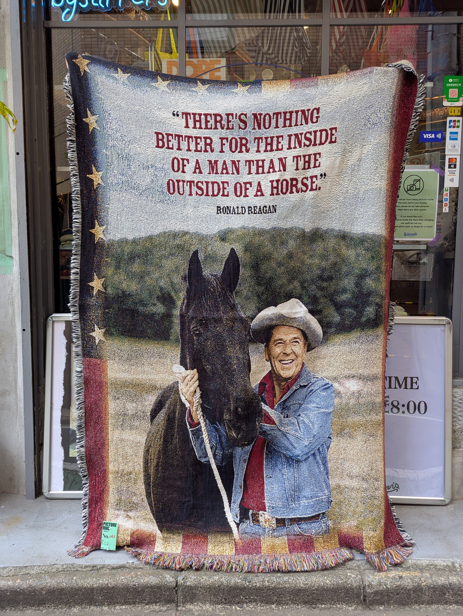 PICTURE RUG No.1056