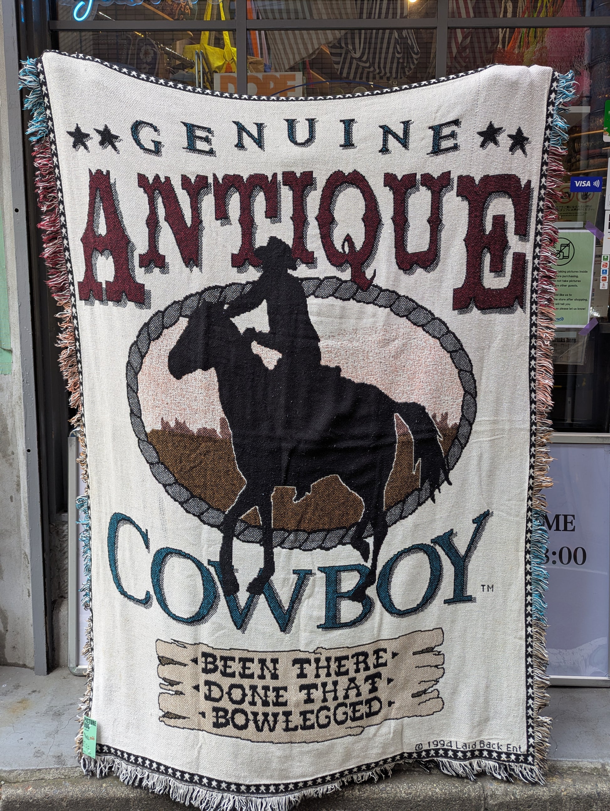 PICTURE RUG No.1066