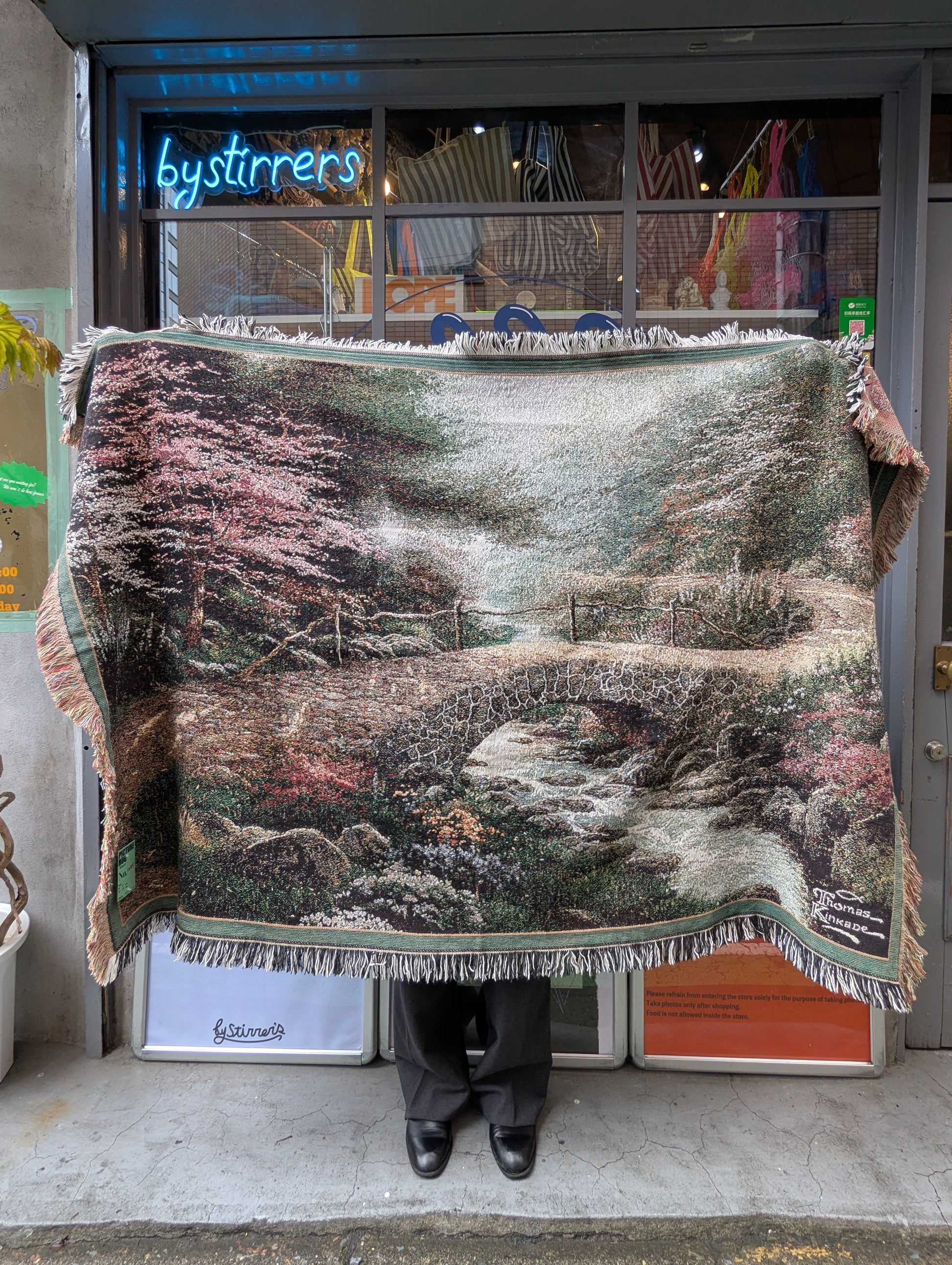 PICTURE RUG No.1075