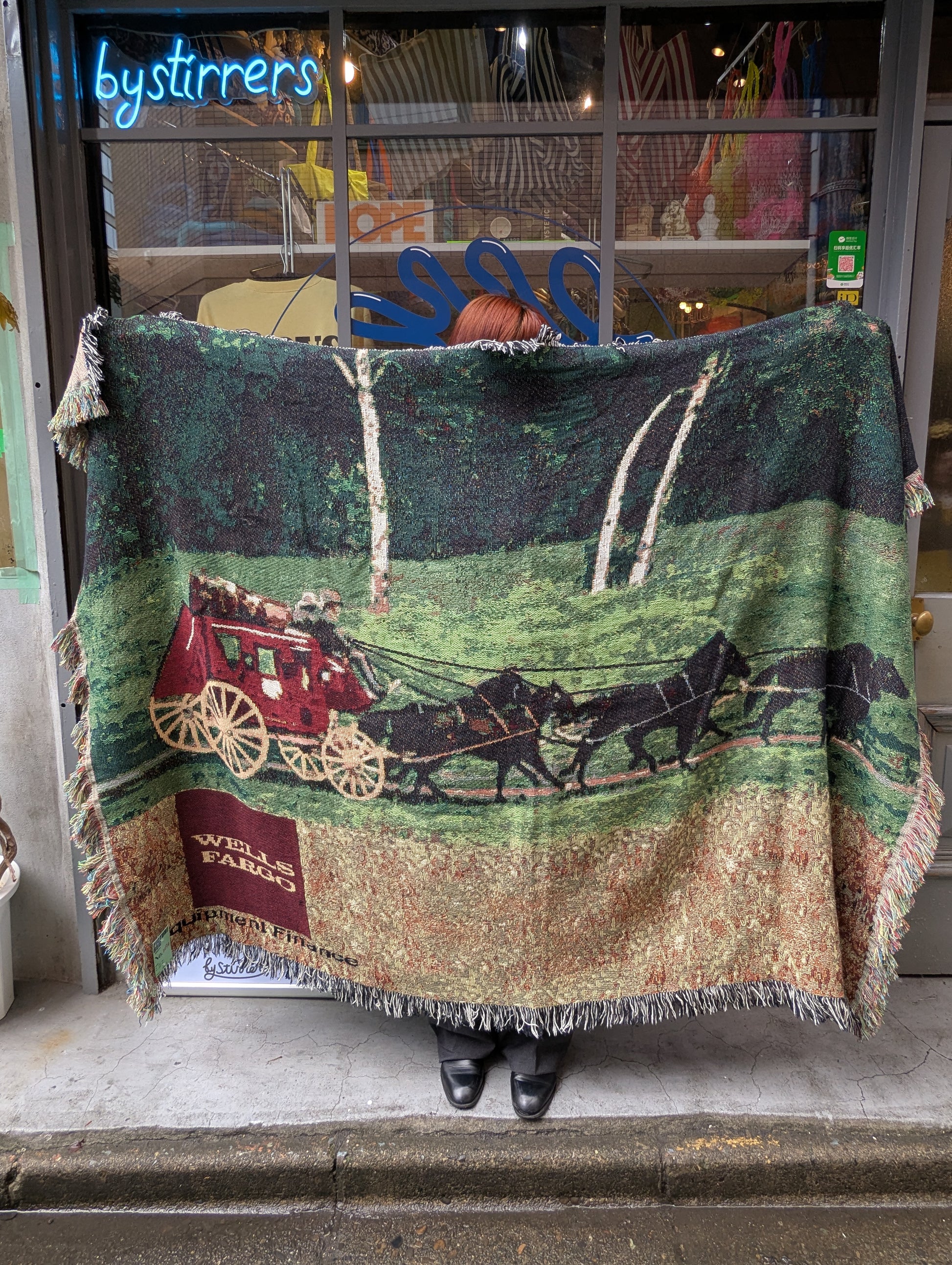 PICTURE RUG No.1074