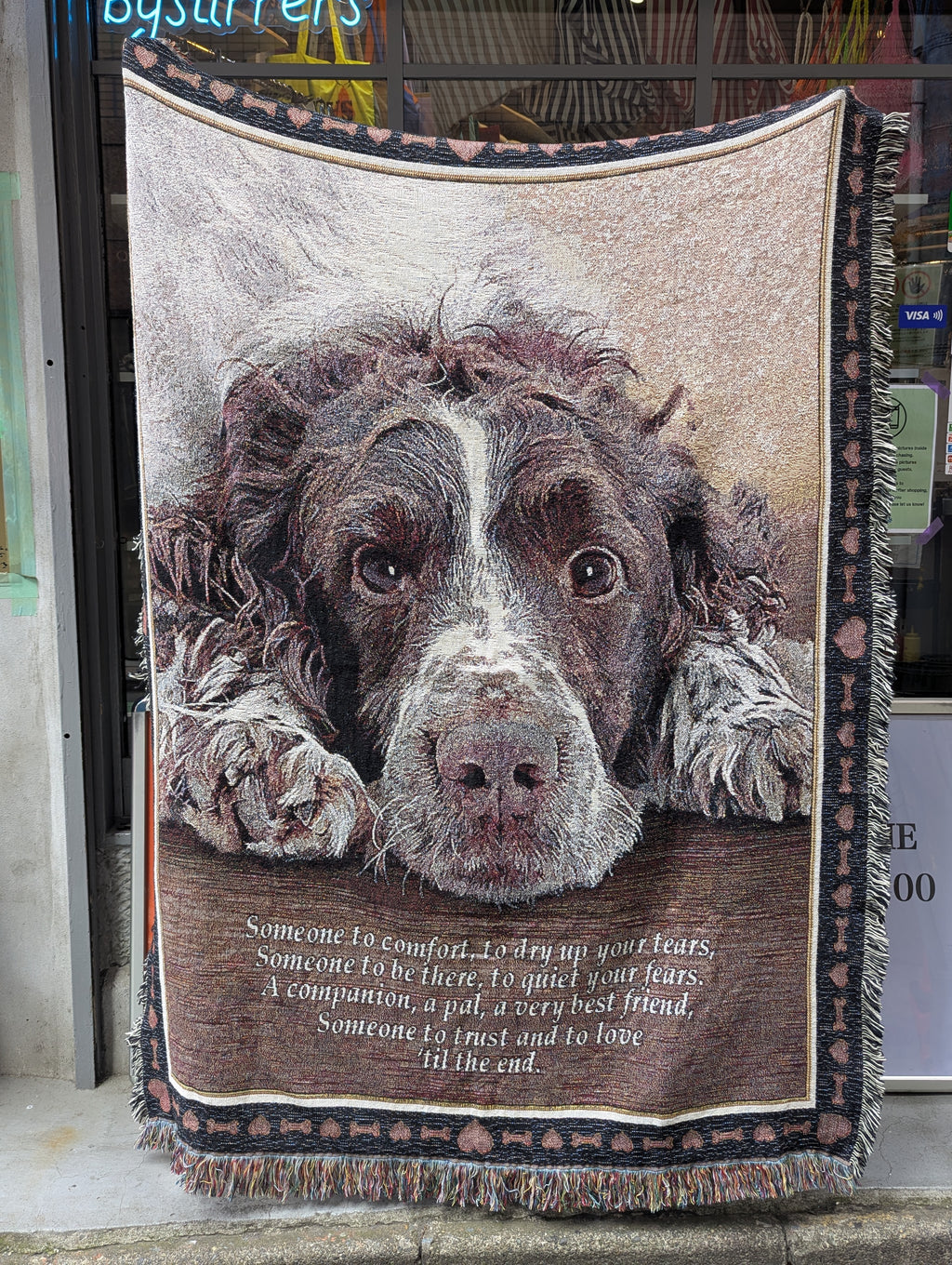 PICTURE RUG No.1091