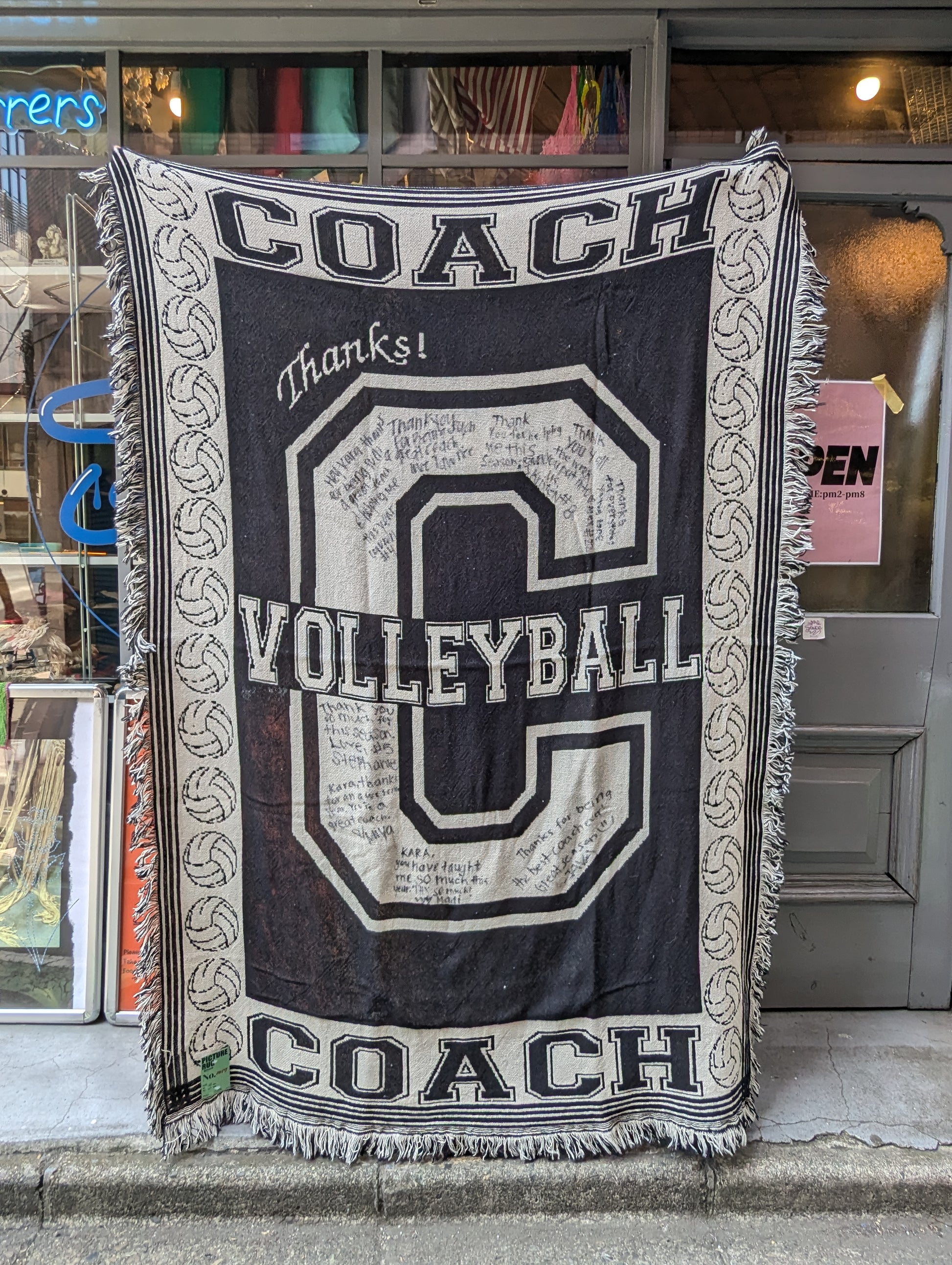 PICTURE RUG No.1117