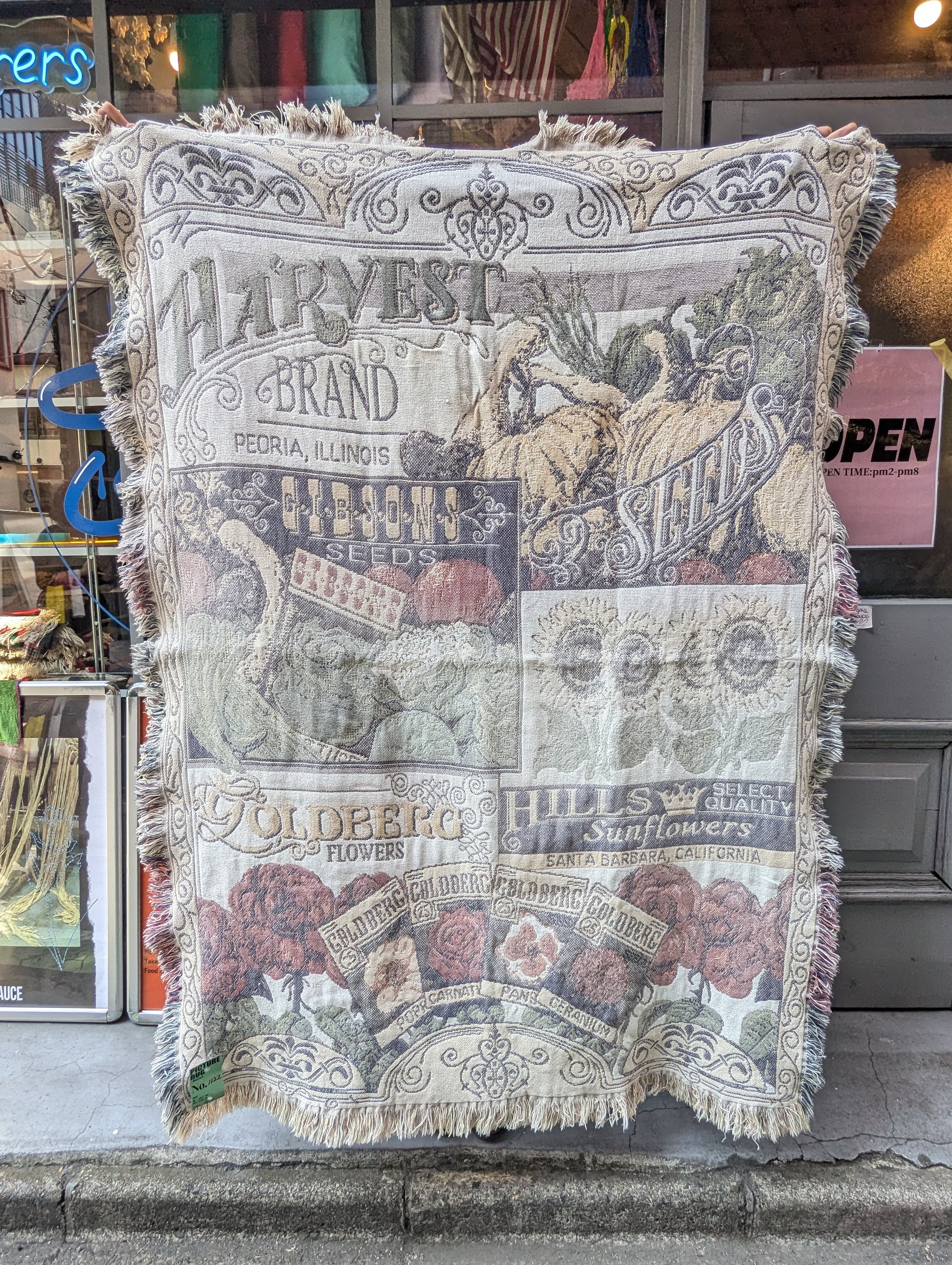 PICTURE RUG No.1122