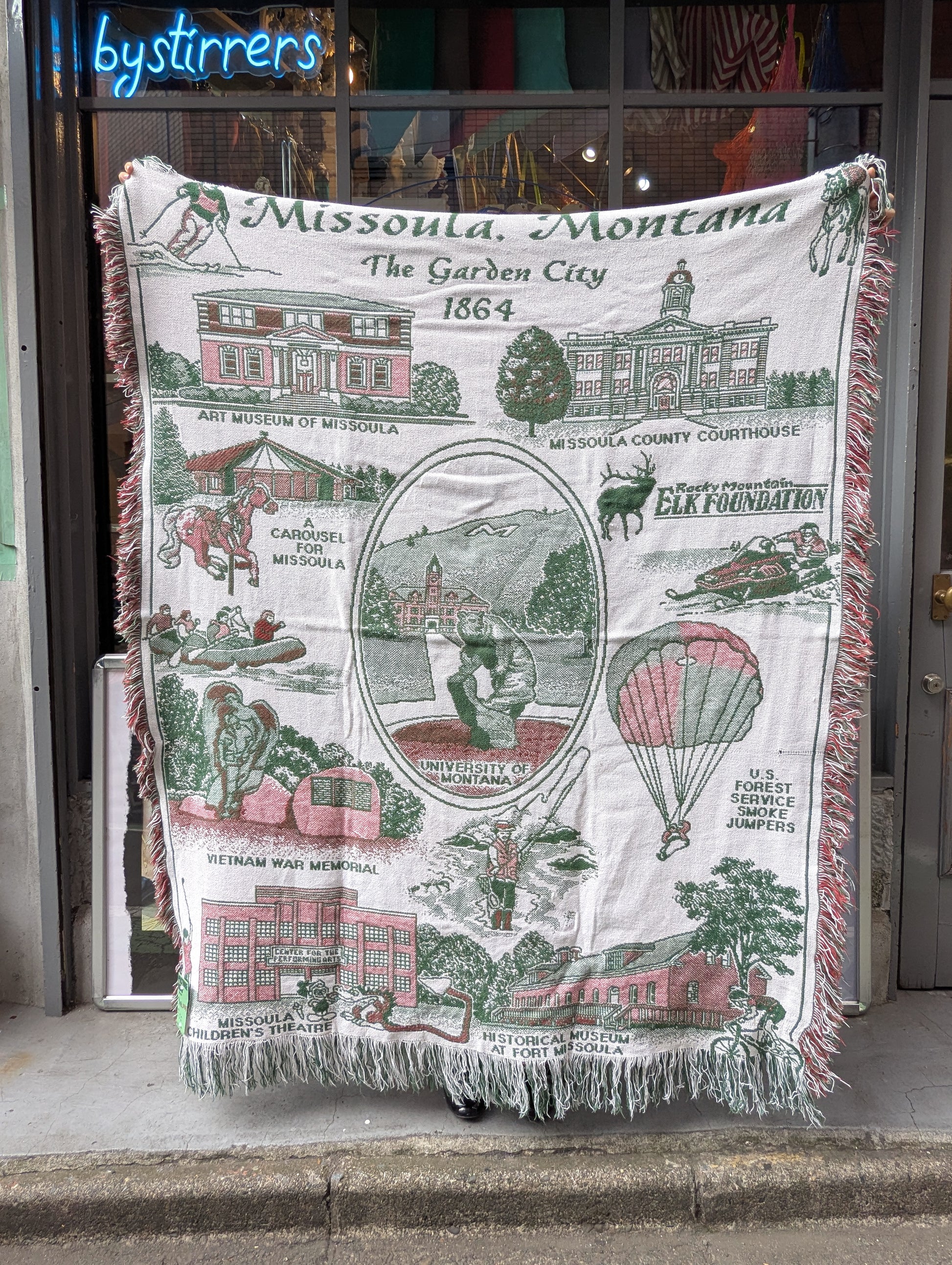 PICTURE RUG No.1134
