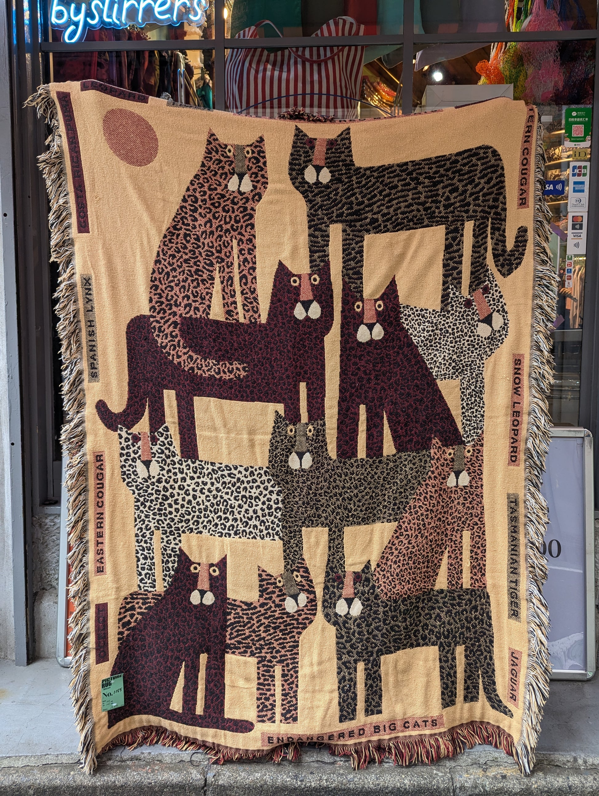 PICTURE RUG No.1155