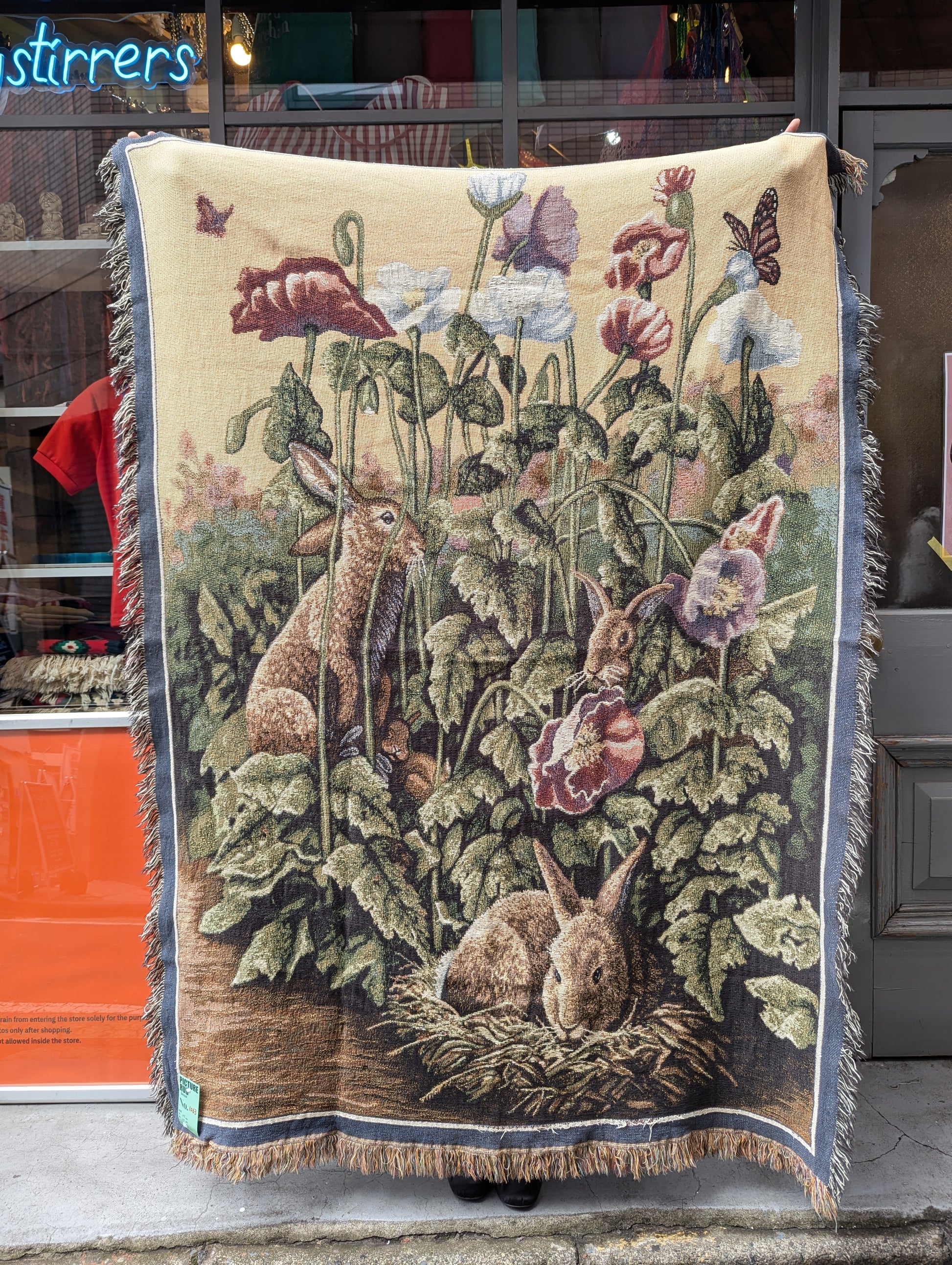 PICTURE RUG No.1163