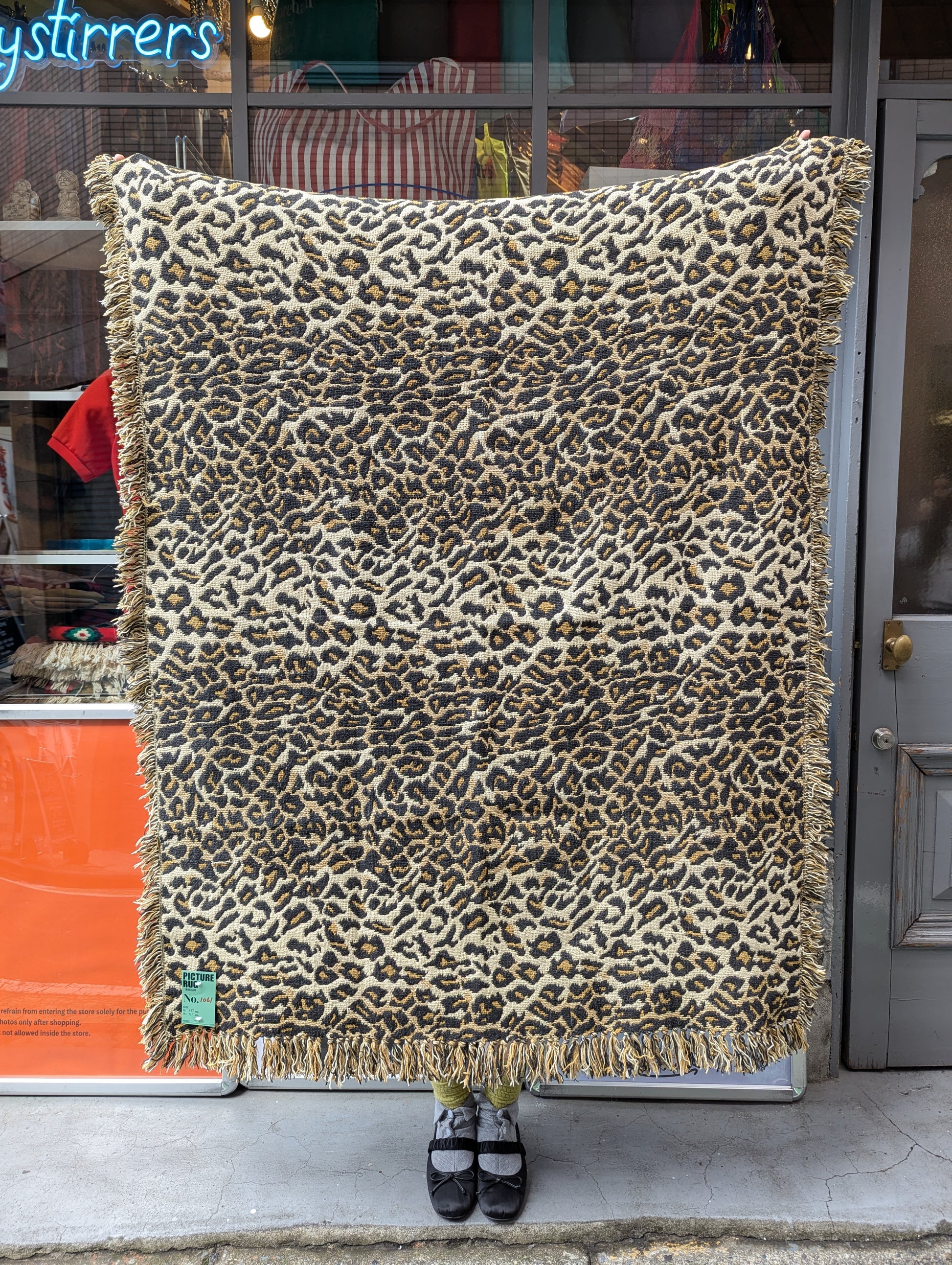 PICTURE RUG No.1161