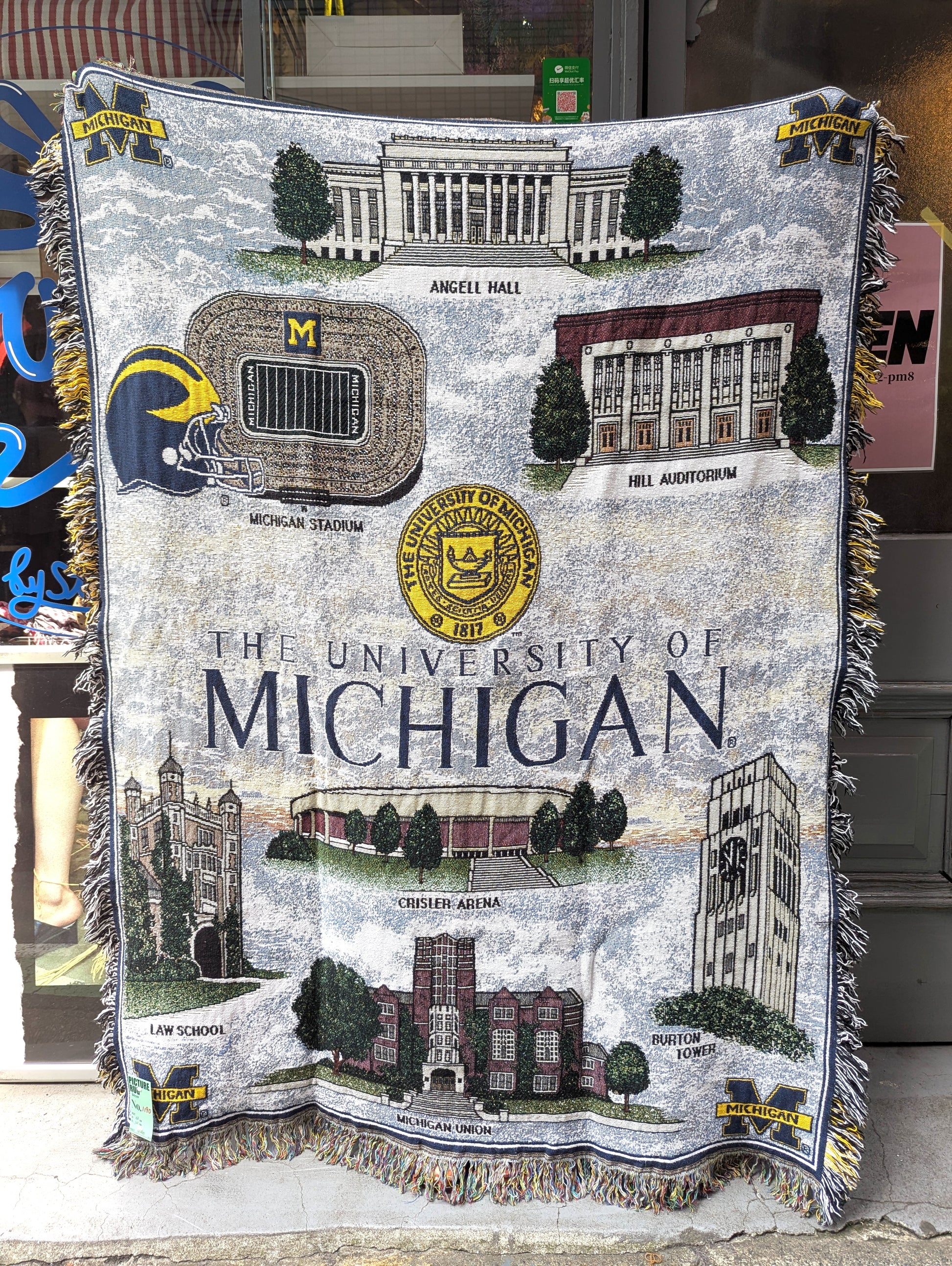 PICTURE RUG No.1190