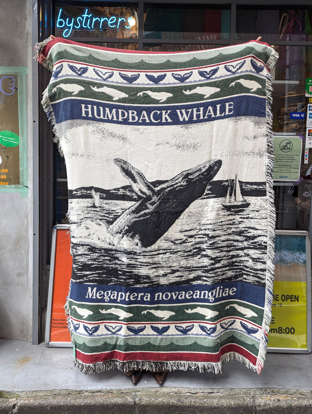 PICTURE RUG No.1400