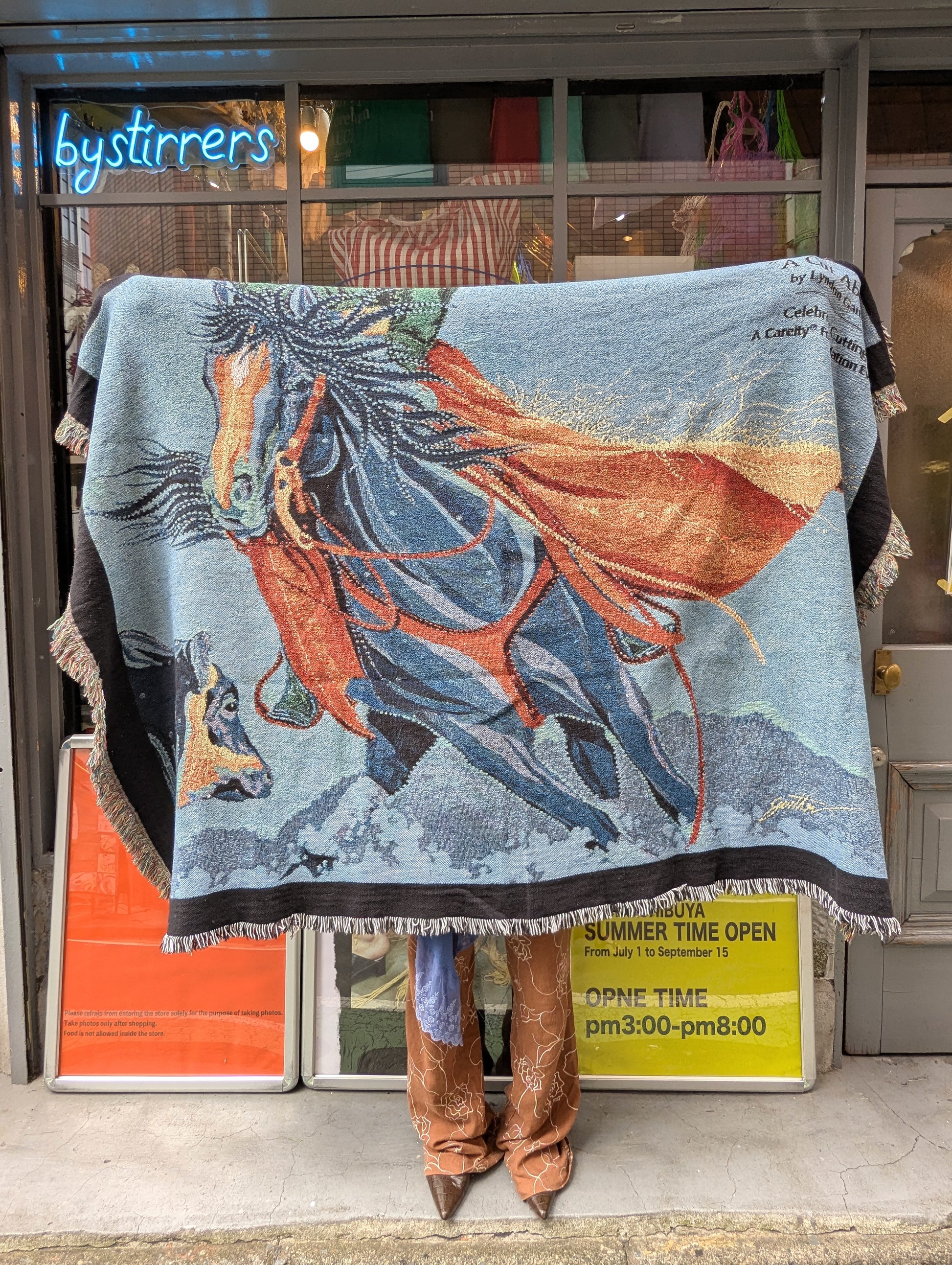 PICTURE RUG No.1404