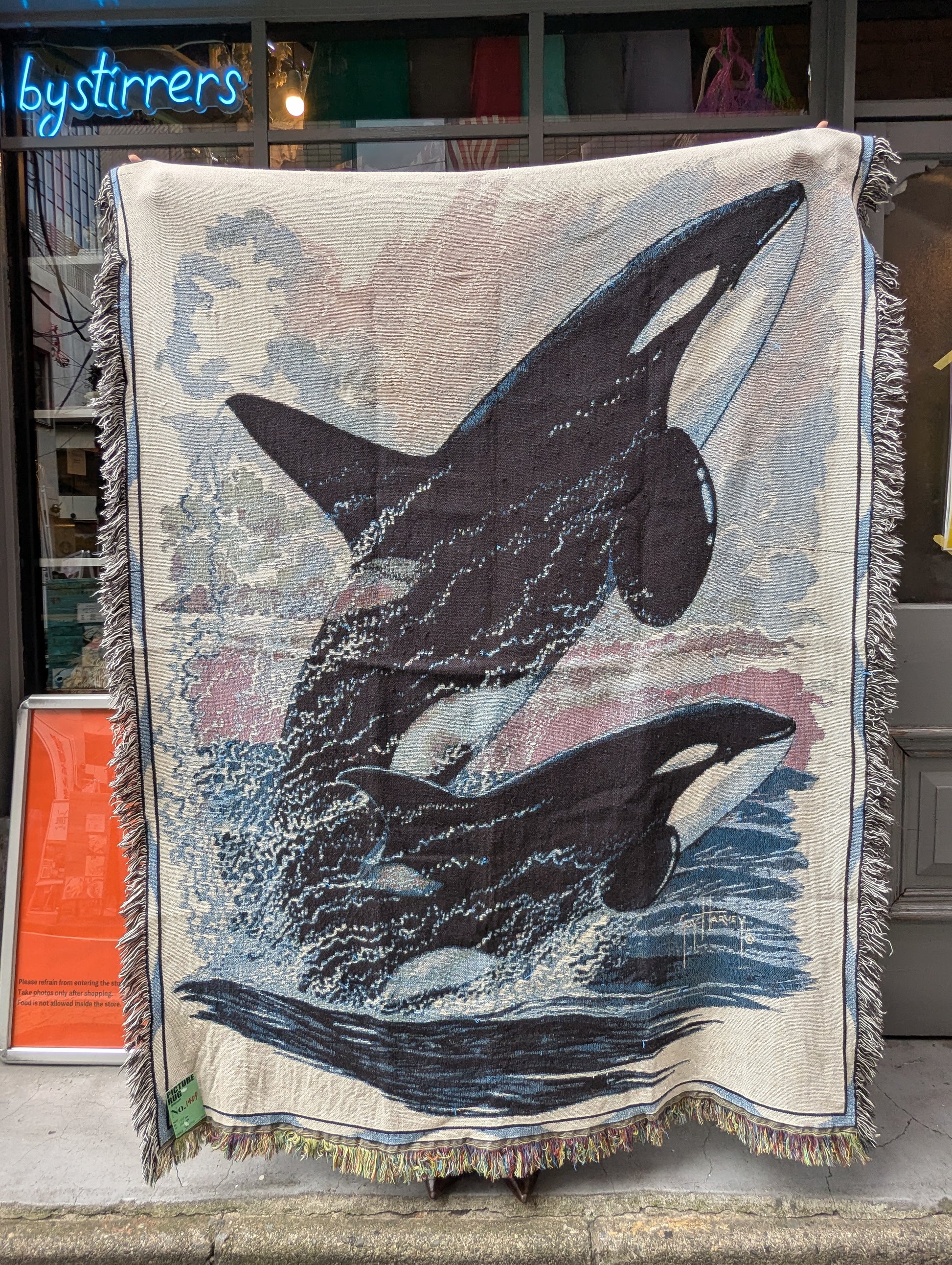 PICTURE RUG No.1409