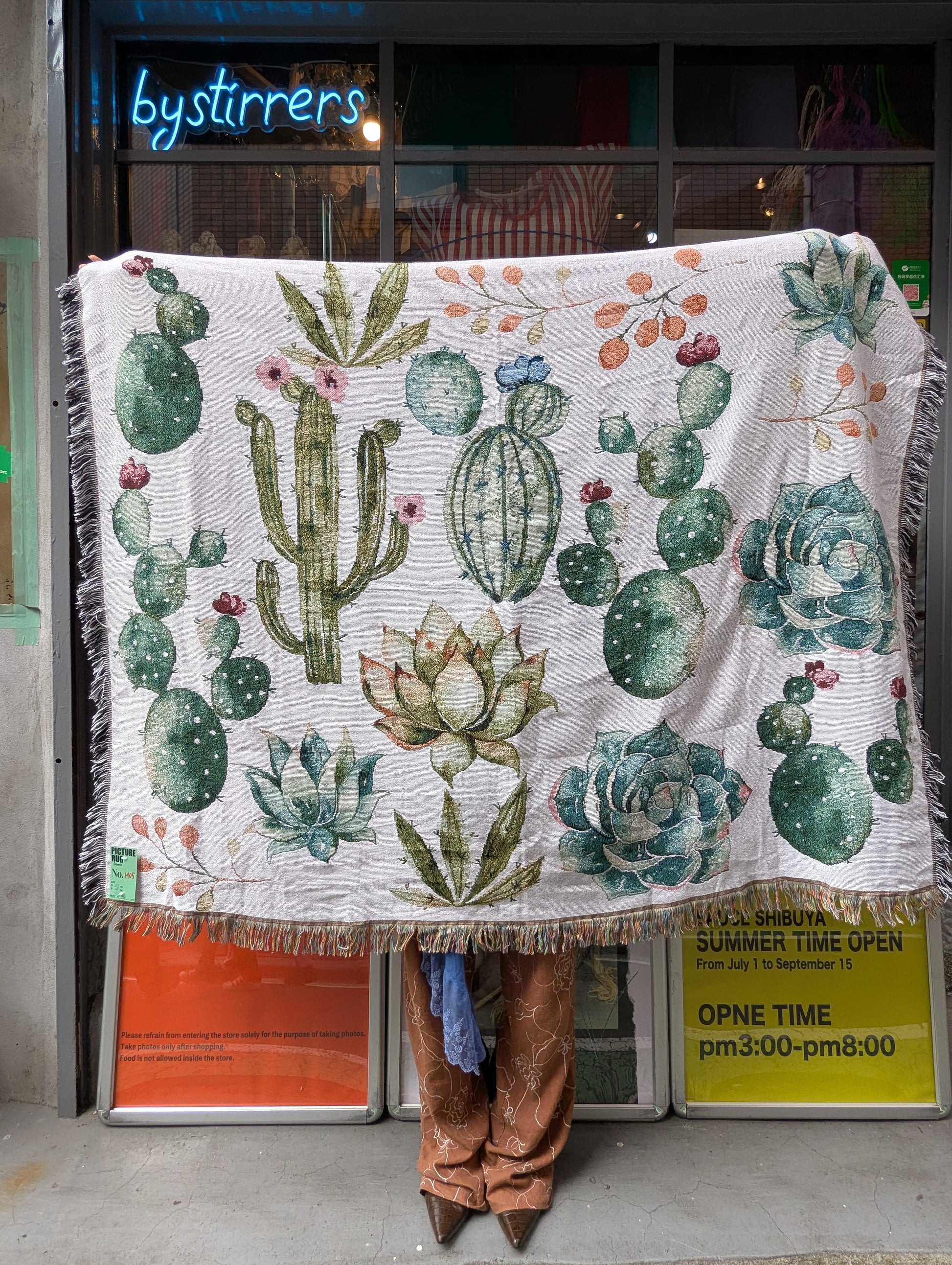 PICTURE RUG No.1405